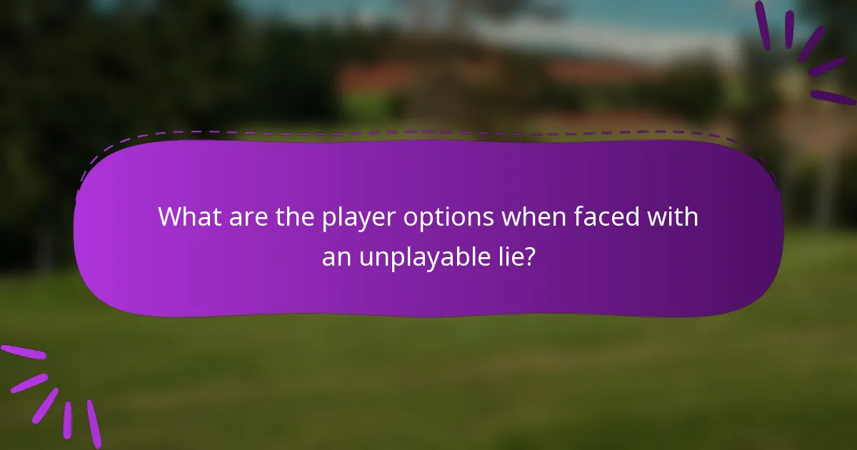 What are the player options when faced with an unplayable lie?